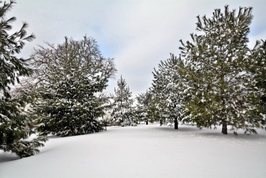 987531 (a): :2560x1706